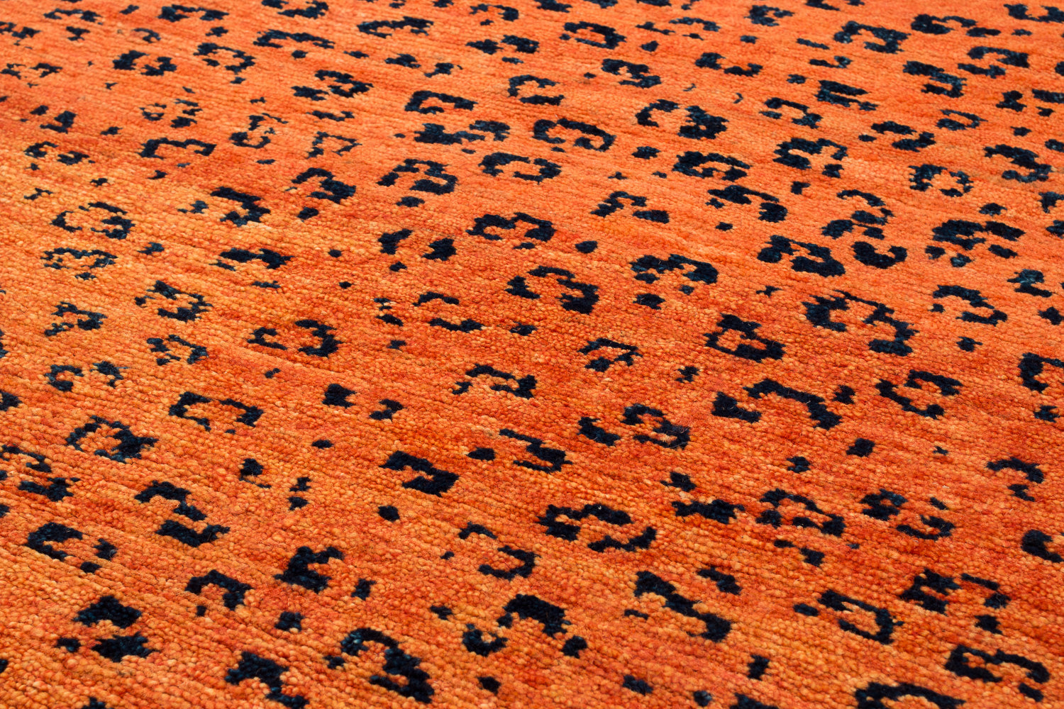 Leopard Shiva Puri Orange