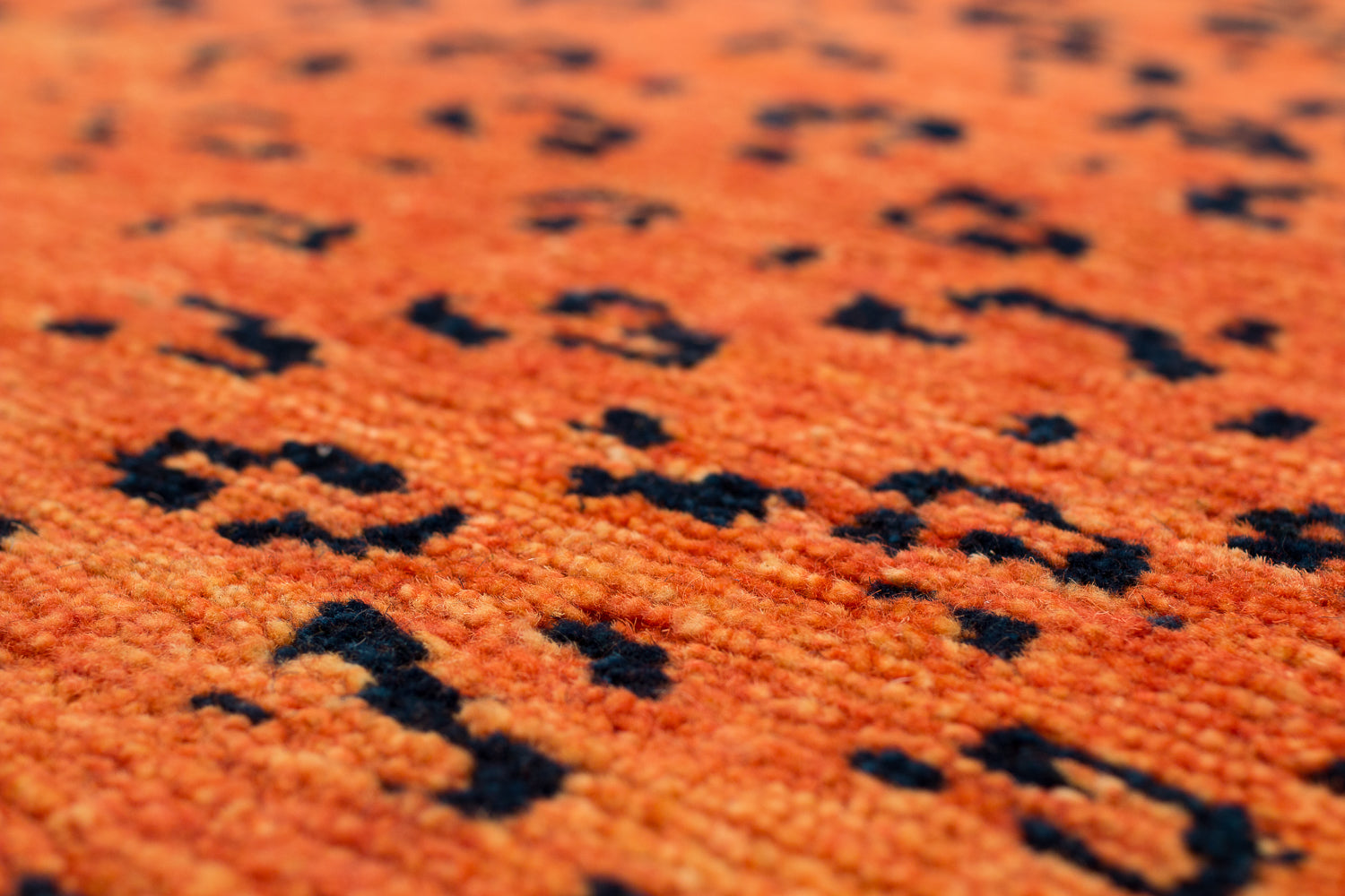 Leopard Shiva Puri Orange