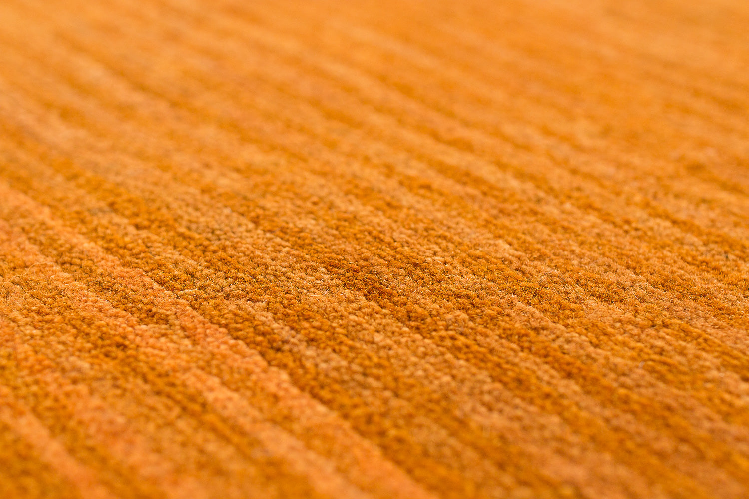 Terrain | 8'11" (W) x 12' (L)