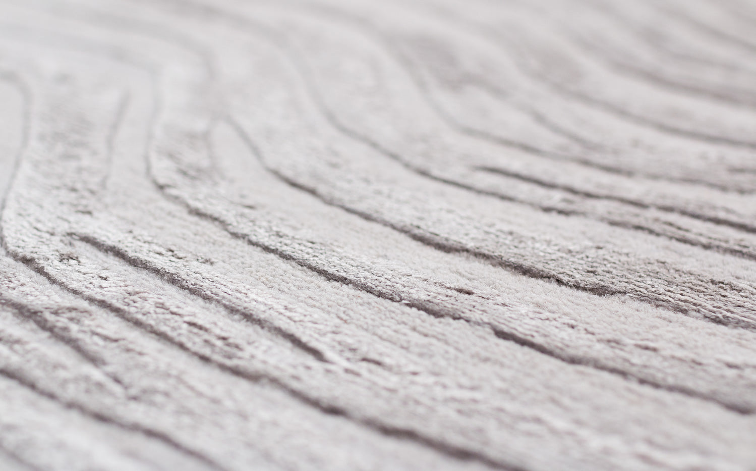 Trintinara Silver | 5' (W) x 7' (L)