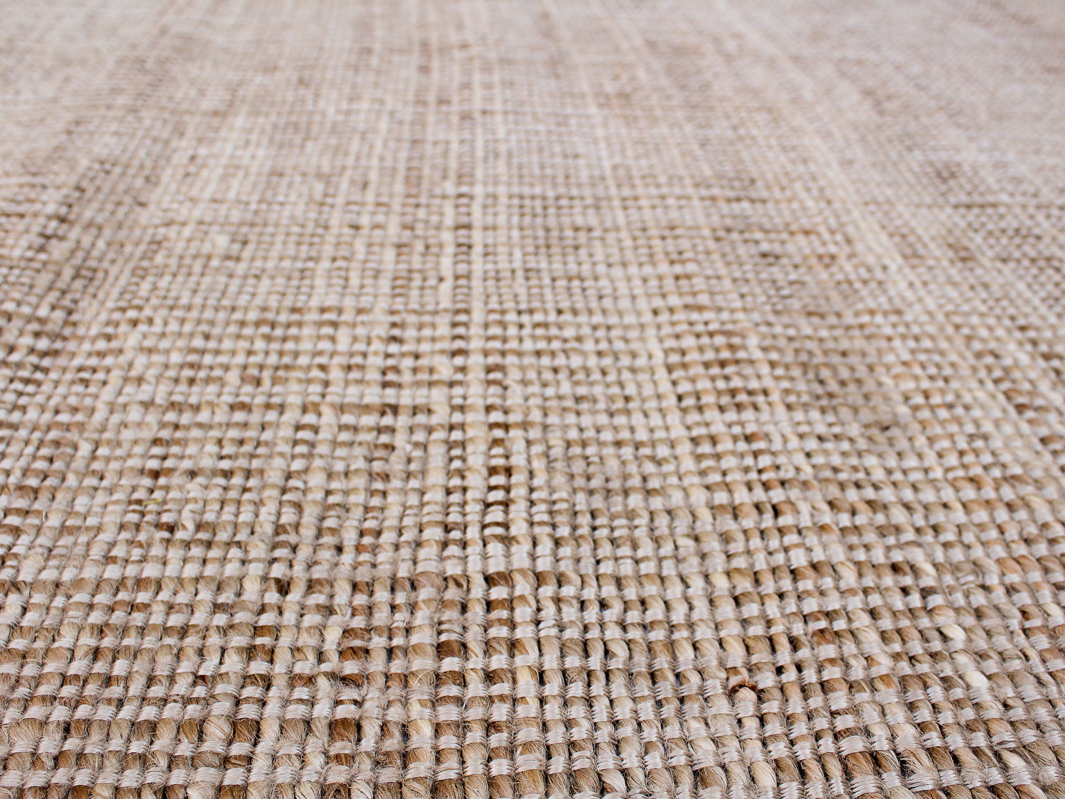 Palm Beach | 8' (W) x 10' (L)