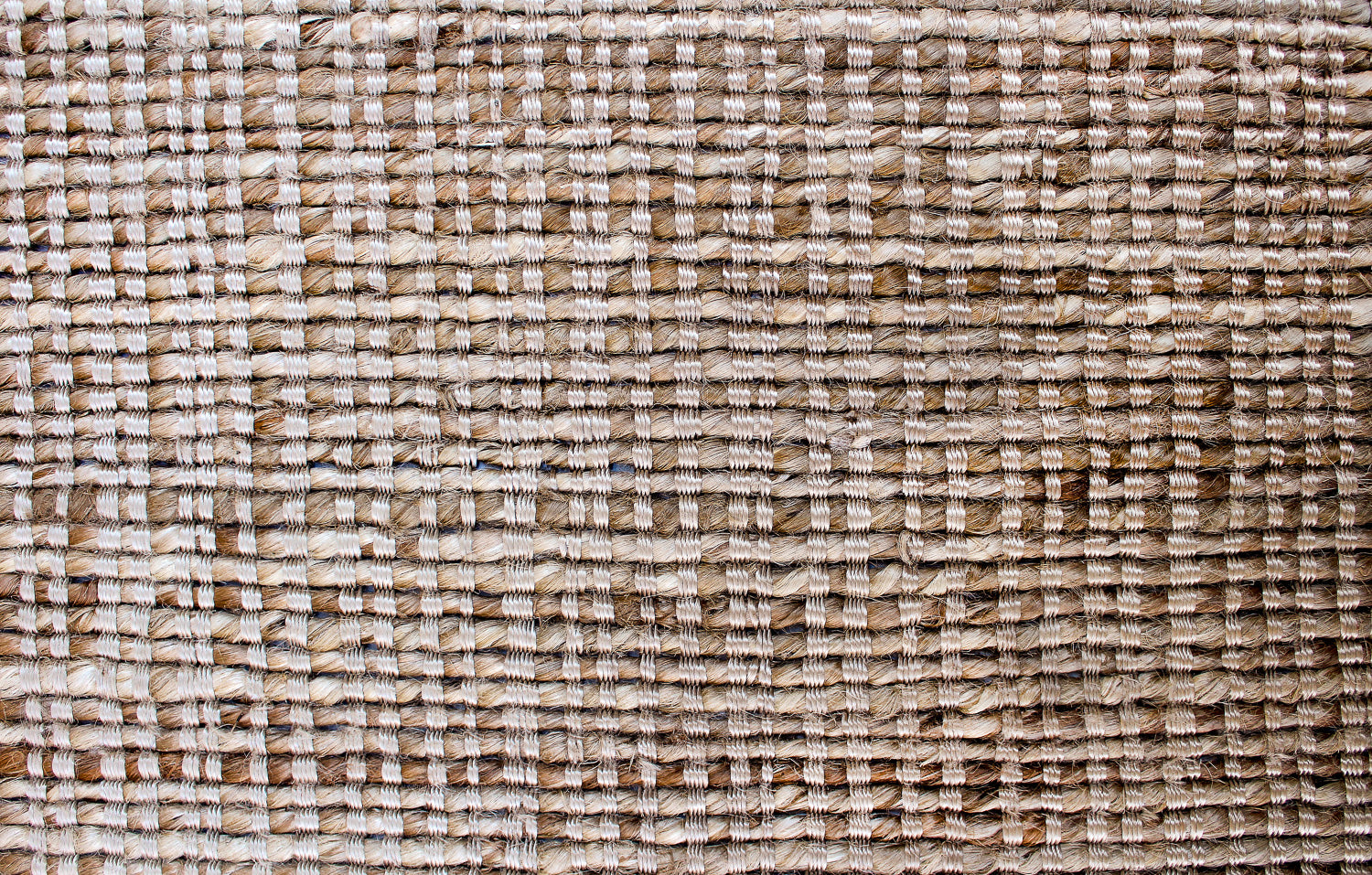 Palm Beach | 8' (W) x 10' (L)