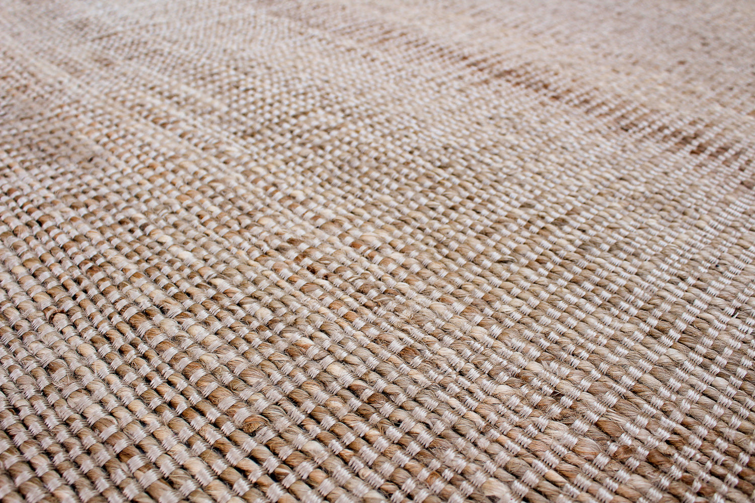 Palm Beach | 8' (W) x 10' (L)