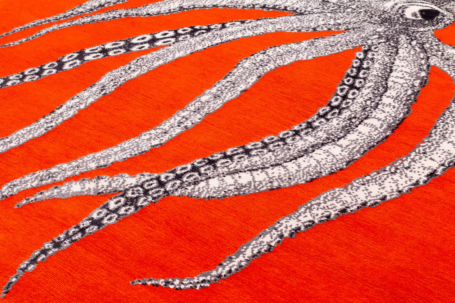 Inky | 6'1" (W) x 9' (L)